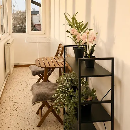 Fundeni Langa Spital Bukurešť